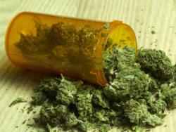 Jamaica Makes First Shipment of Medical Marijuana to Canada | Jamaica Gleaner