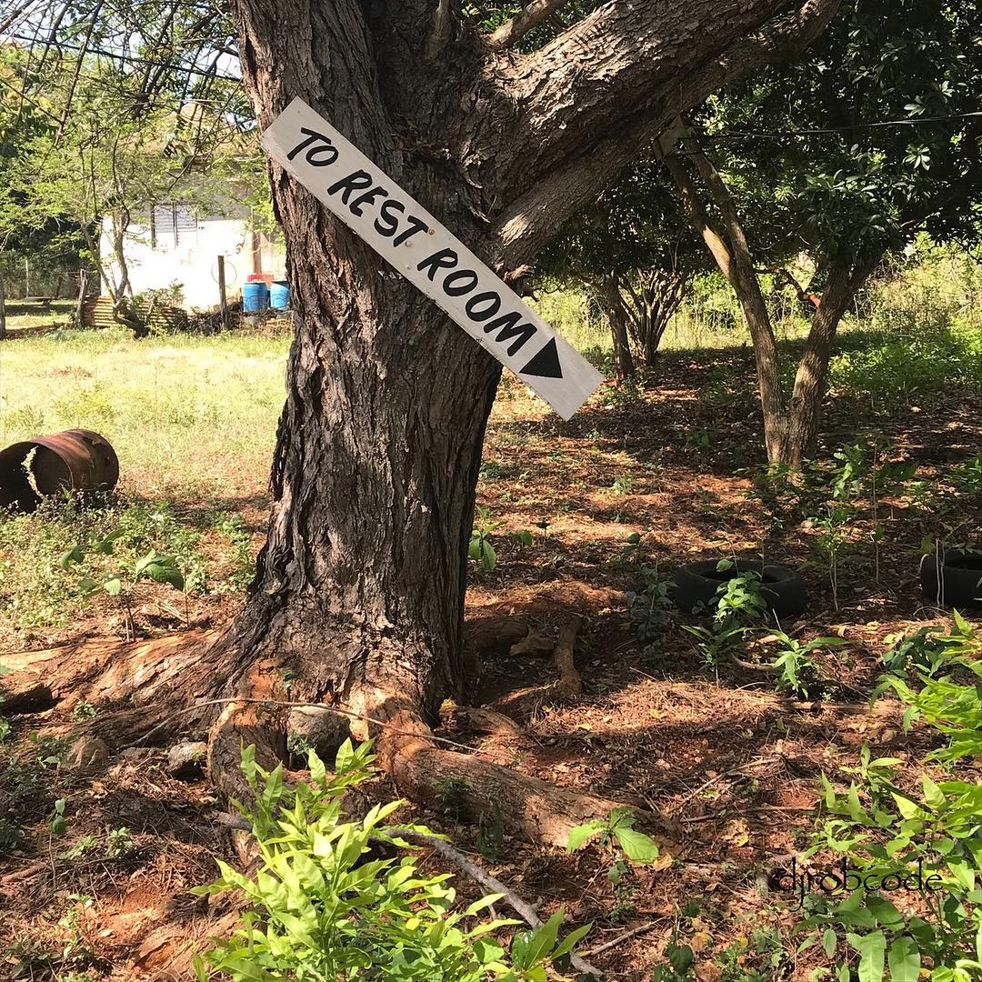 Dwight Jackson on Instagram #jamaica
