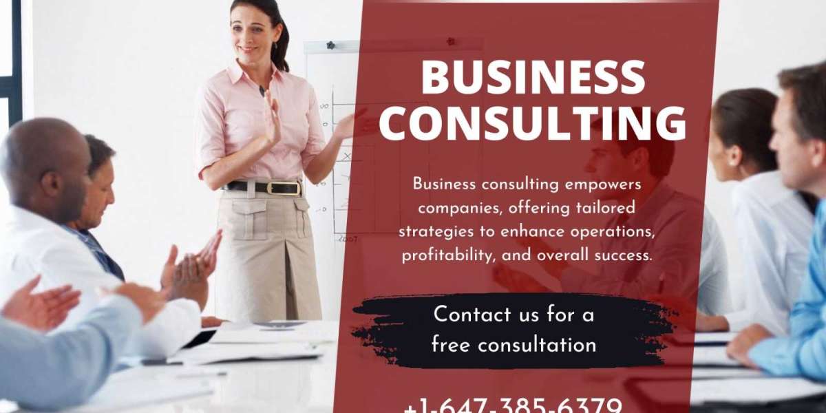 7 Specialty of a Business Consulting Services’ Coach in Toronto: Hire Today
