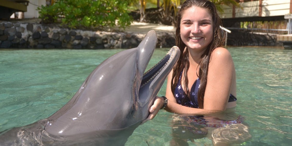 Experience the Thrill of Swimming with Dolphins in Jamaica