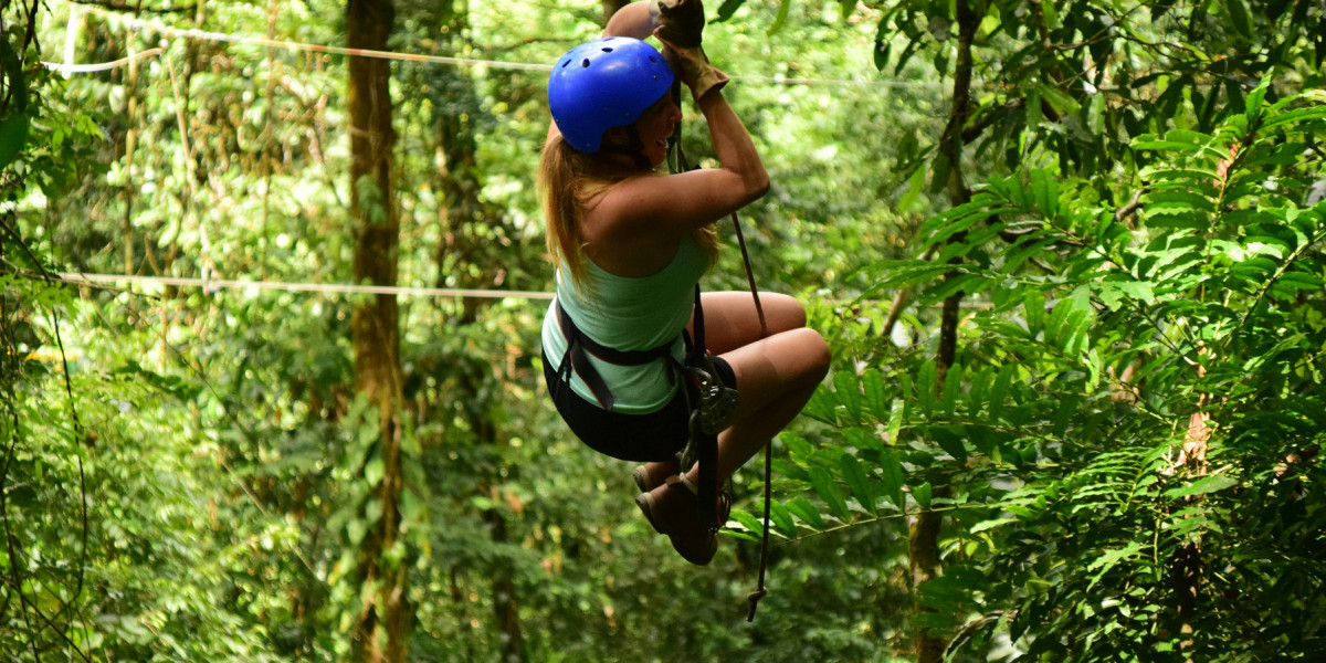 Top 10 Must-Experience Activities in Jamaica This Summer