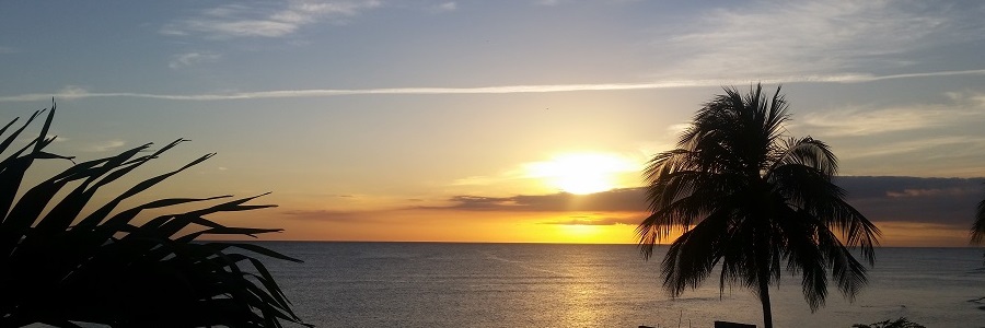 Metal Factory Cover Image